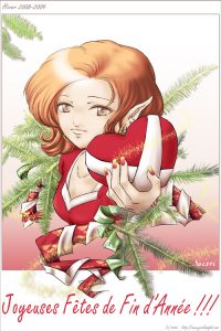 Best Wishes for Christmas and a Happy New Year! Meilleurs Vœux !