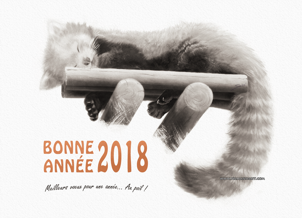 Bonne année 2018