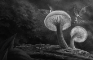 meet fairies - illustration en noir et blanc