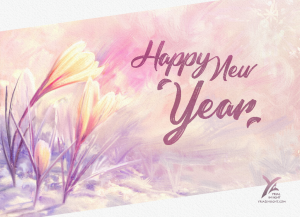 Happy New Year : I wish you the best to come