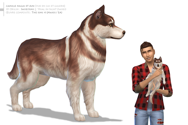 Camille Nagai et son chien Ami | Sims 4