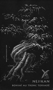 Dessin au pastel blanc sur papier noir : un nejikan