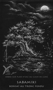 Dessin au pastel blanc sur papier noir : un sabamiki